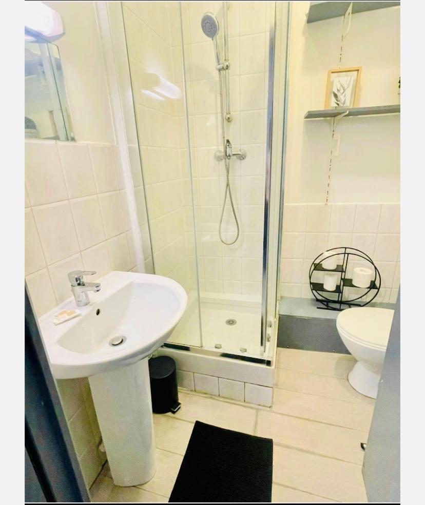 Studio Entier 1 Piece Et Salle De Bain Lille Kültér fotó